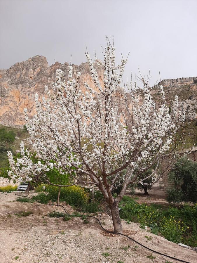 Cortijo El Chorreadero En Parque Natural Sierra De Cazorla Los Rosales  Εξωτερικό φωτογραφία