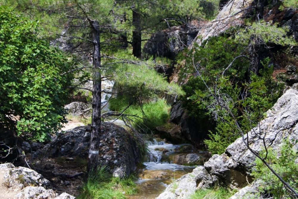 Cortijo El Chorreadero En Parque Natural Sierra De Cazorla Los Rosales  Εξωτερικό φωτογραφία