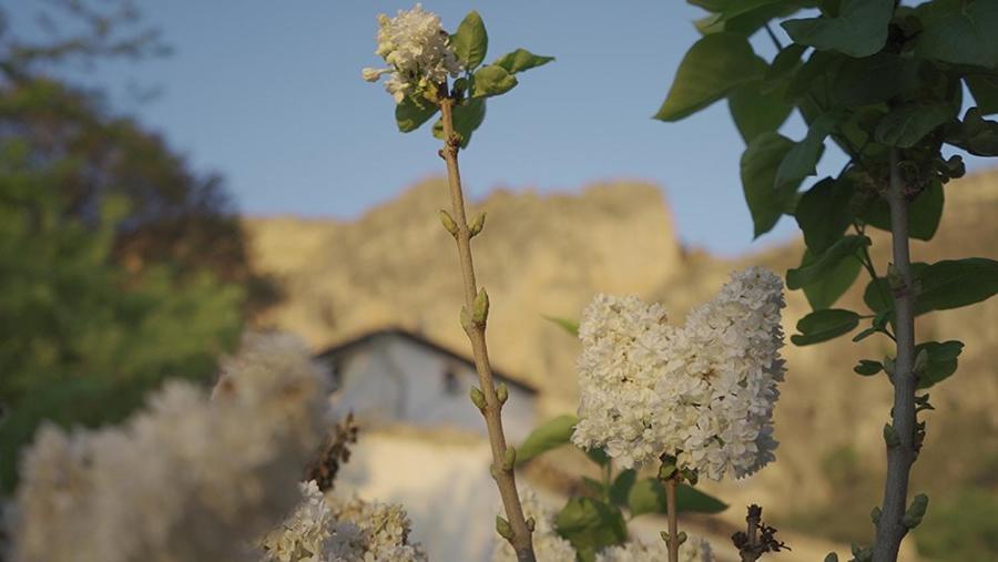 Cortijo El Chorreadero En Parque Natural Sierra De Cazorla Los Rosales  Εξωτερικό φωτογραφία